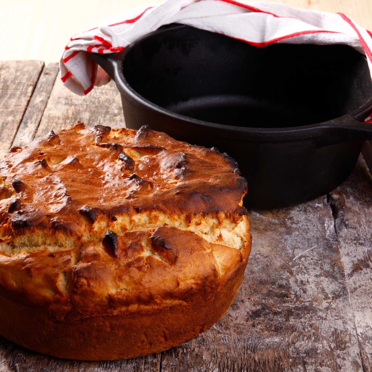 4 QT Cast Iron Dutch Oven with Lid