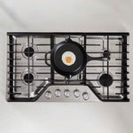 10-Inch Cast Iron Skillet Macaw